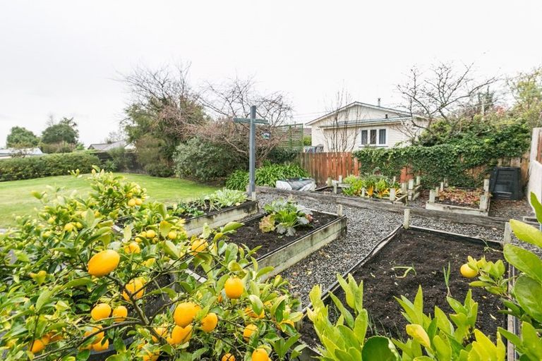 Photo of property in 27 James Cook Street, Havelock North, 4130