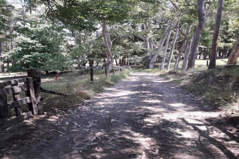 Photo of property in 246 Te Tio Road, Umawera, Okaihau, 0476