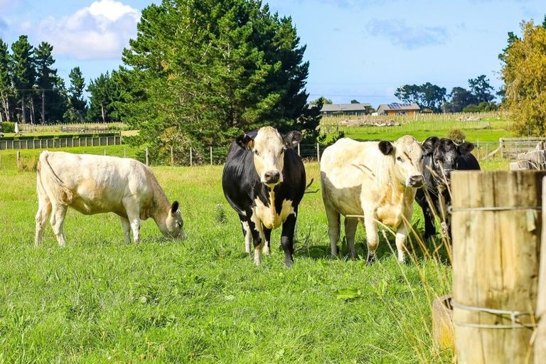 Photo of property in 1007 Brunswick Road, Brunswick, Whanganui, 4571