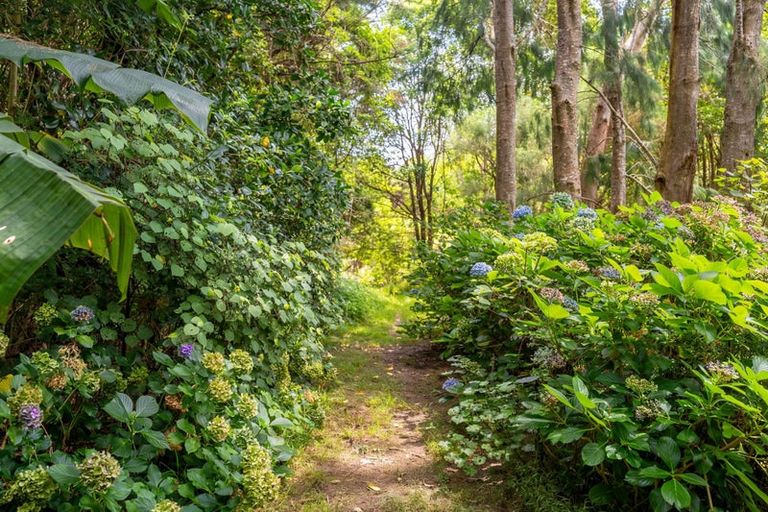 Photo of property in 106 Pebblebrooke Road, Mangawhai, Kaiwaka, 0573