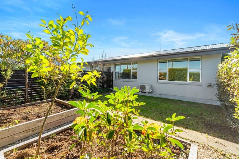 Photo of property in 13a Leander Street, Mount Maunganui, 3116
