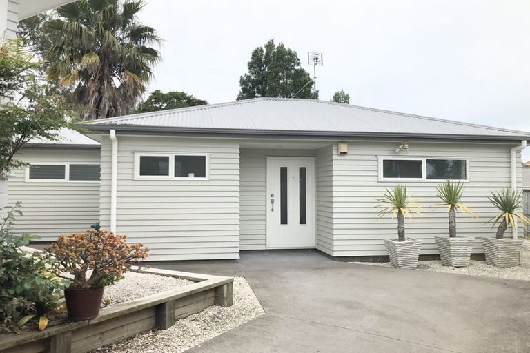 Photo of property in 12 Dudding Avenue, Northcote, Auckland, 0627