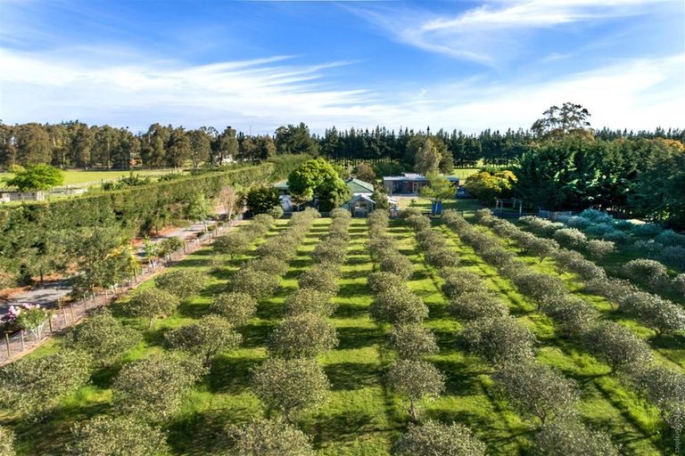 Photo of property in 165 North Eyre Road, Swannanoa, Kaiapoi, 7692