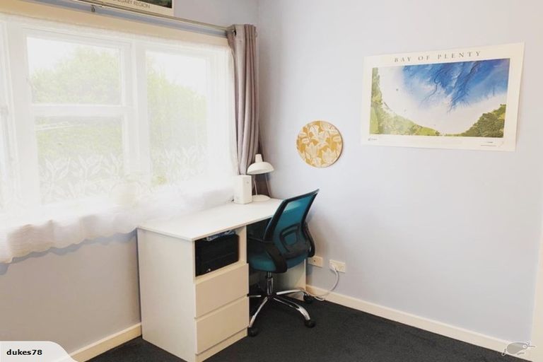 Photo of property in 117 Rakau Road, Hataitai, Wellington, 6021