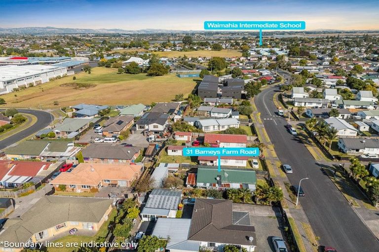 Photo of property in 31 Barneys Farm Road, Clendon Park, Auckland, 2103