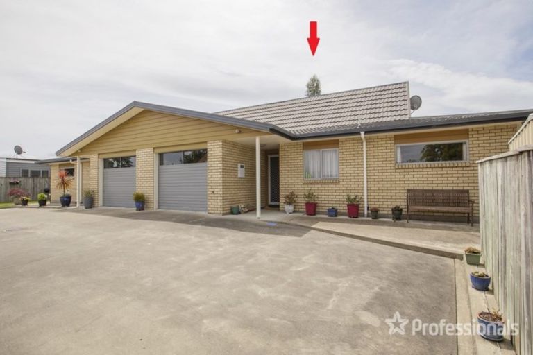 Photo of property in 6/27 Third Street, Lansdowne, Masterton, 5810