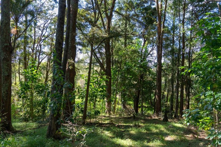 Photo of property in 149 Whaka Street, Maungaturoto, 0583