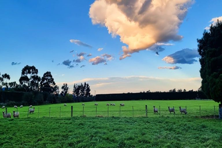 Photo of property in 479 Mcjarrows Road, Oxford, 7430