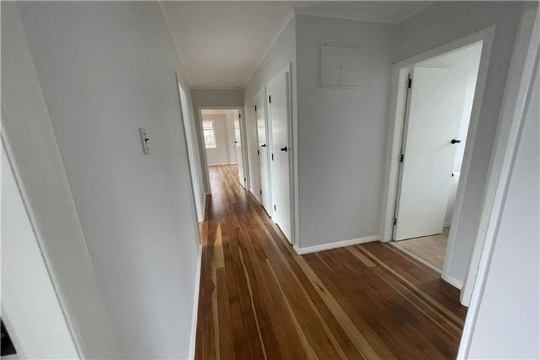 Photo of property in 316 Peachgrove Road, Fairfield, Hamilton, 3214