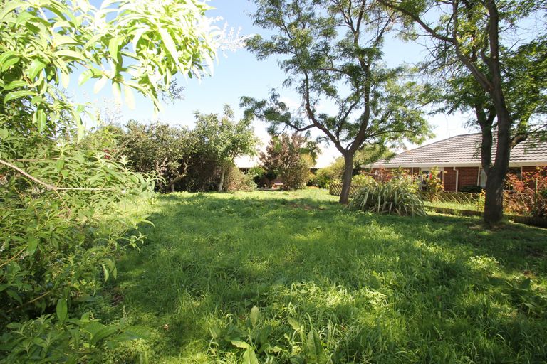 Photo of property in 19 Mcdonald Street, Brockville, Dunedin, 9011