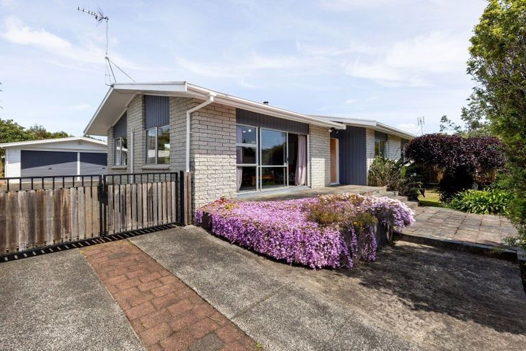 Photo of property in 36 Caernarvon Street, Dinsdale, Hamilton, 3204