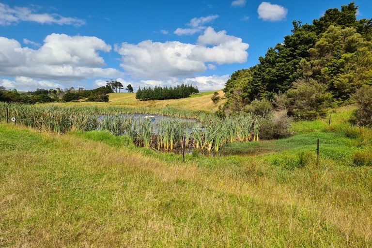 Photo of property in 304 Arapaoa Road, Tinopai, Matakohe, 0593