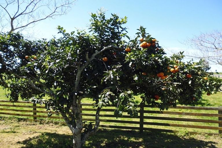 Photo of property in 296 Paerata Ridge Road, Waiotahe, Opotiki, 3198