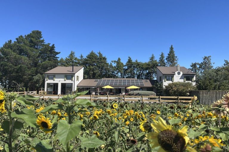 Photo of property in 246 Georges Road, Glasnevin, Amberley, 7482