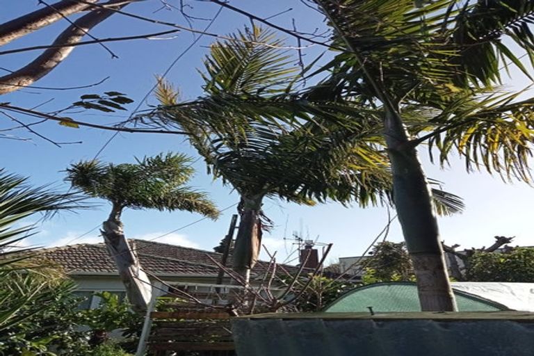 Photo of property in 40 Judea Road, Judea, Tauranga, 3110