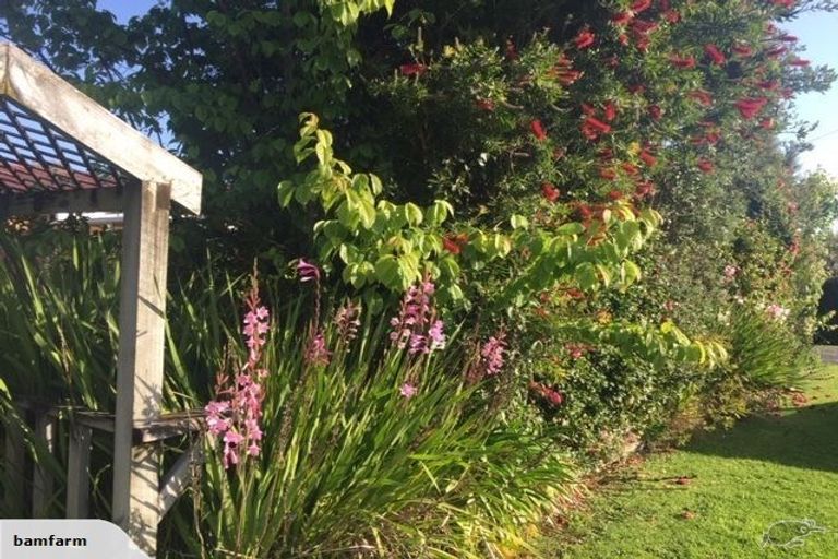 Photo of property in 50 Pagitt Street, Coromandel, 3506