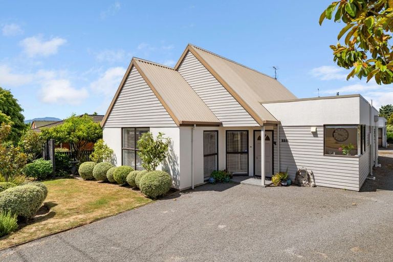 Photo of property in 223a Redwood Street, Witherlea, Blenheim, 7201