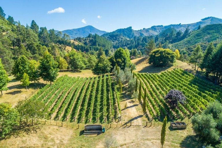 Photo of property in 152 Teal Valley Road, Hira, Nelson, 7071