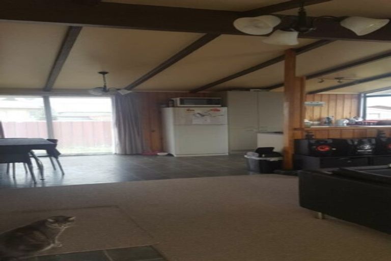 Photo of property in 3 Skye Street, Levin, 5510