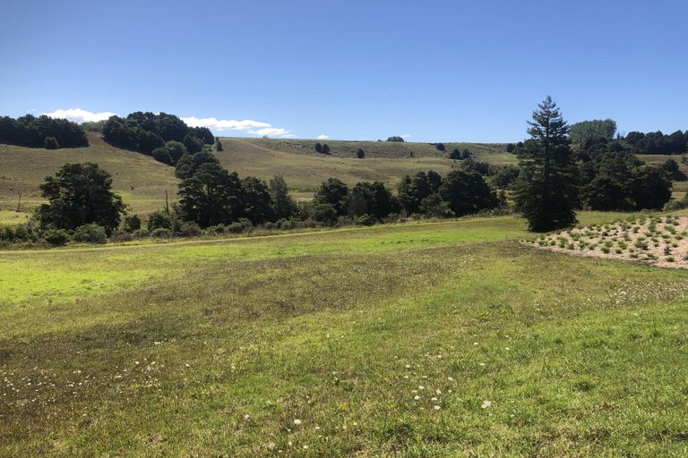 Photo of property in 7 Field View, Kerikeri, 0230