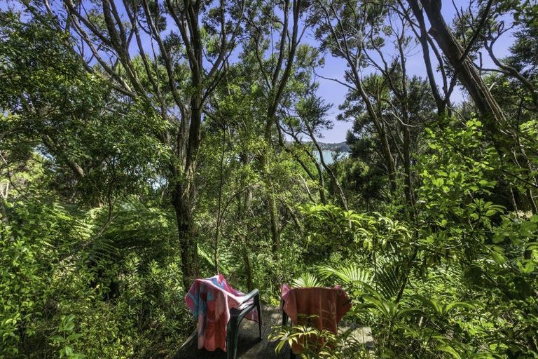 Photo of property in 200 Te Wahapu Road, Russell, 0272