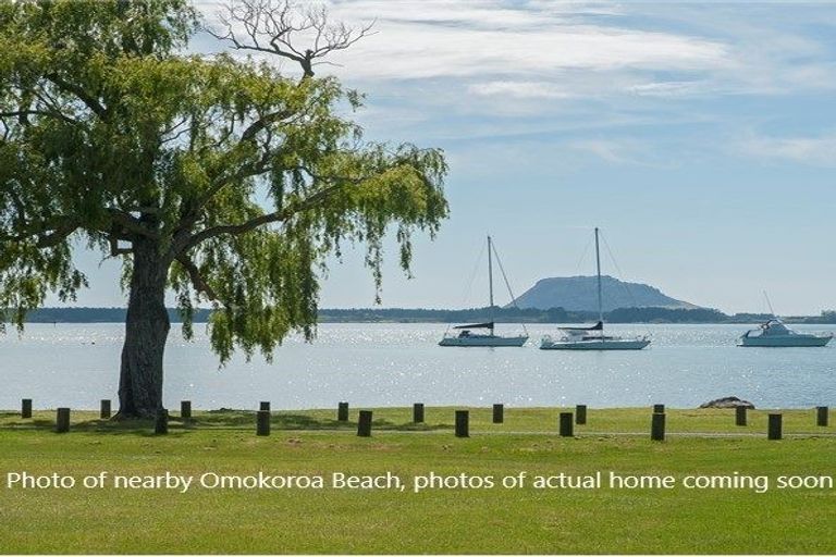 Photo of property in 17 Olive Close, Omokoroa, 3114