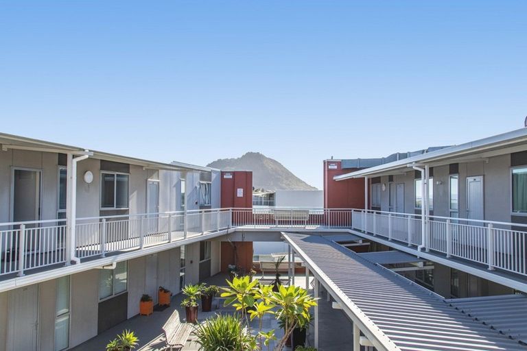 Photo of property in Algarve Apartments, 213/332 Maunganui Road, Mount Maunganui, 3116