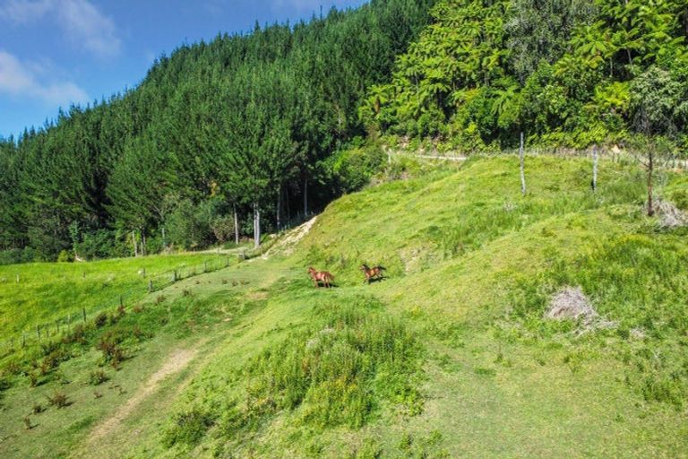 Photo of property in 109 Mcivor Road, Rotoma, Whakatane, 3192