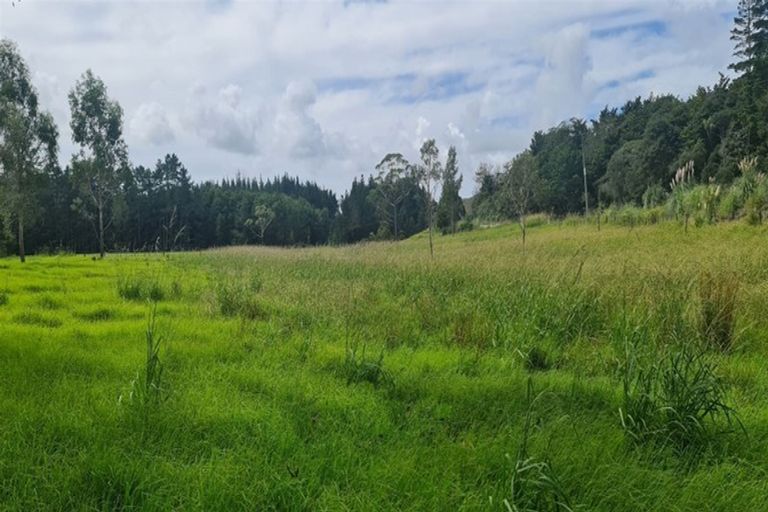 Photo of property in 864 Otangaroa Road, Kaeo, 0479