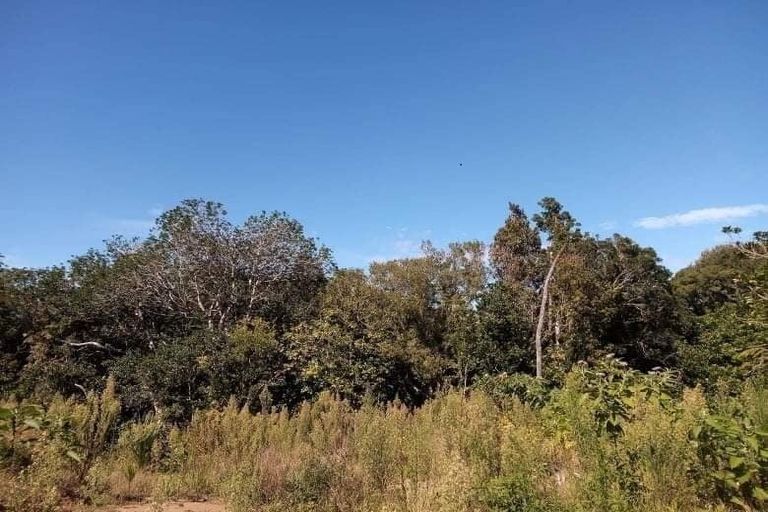 Photo of property in 21c Doralto Road, Frankleigh Park, New Plymouth, 4310