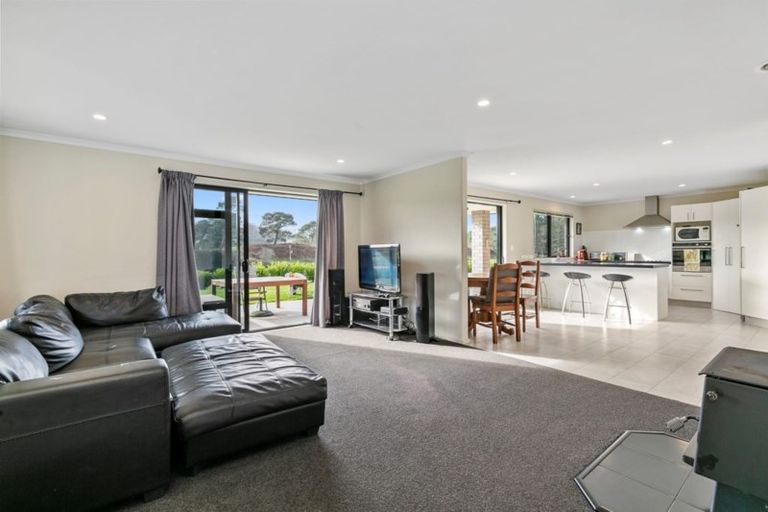 Photo of property in 264 Mcphail Road, Oropi, Tauranga, 3173