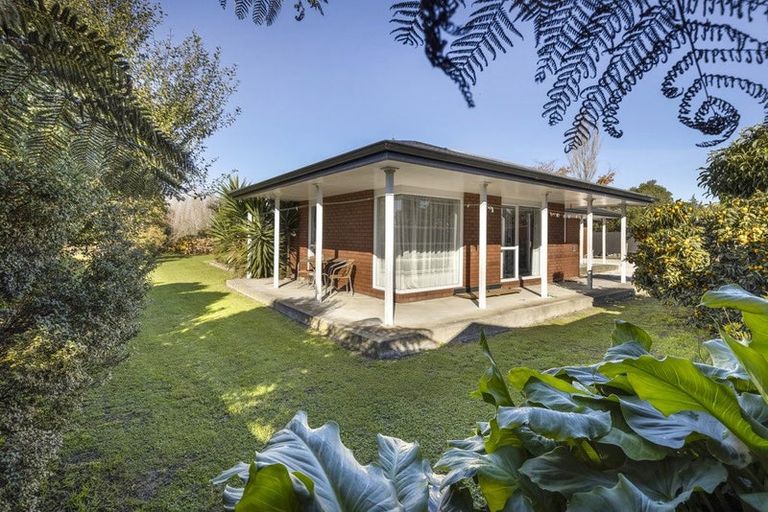 Photo of property in 28d Meehan Street, Islington, Blenheim, 7201