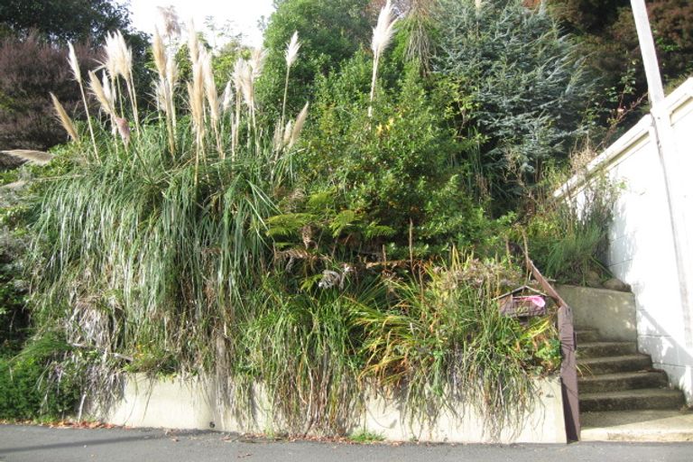 Photo of property in 128 Evans Street, Opoho, Dunedin, 9010