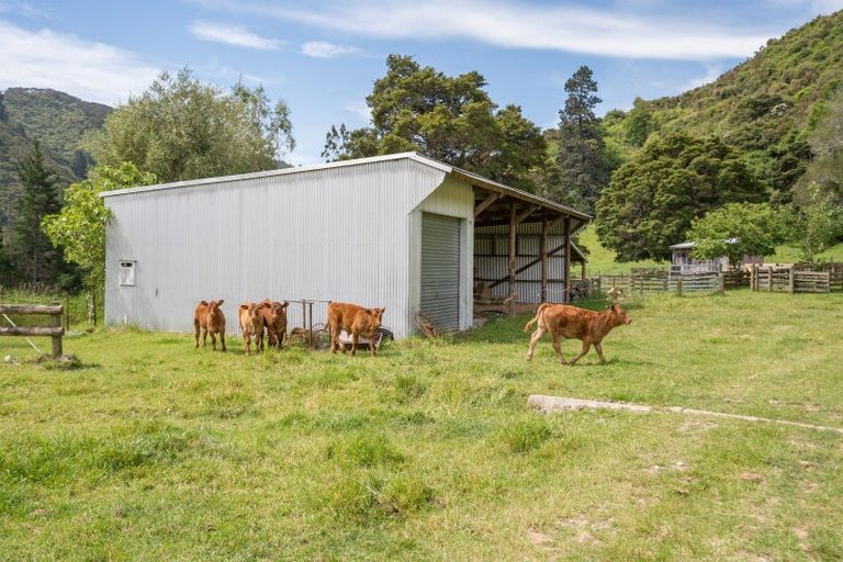 Photo of property in 145 Andrews Road, Wairoa Valley, Brightwater, 7091