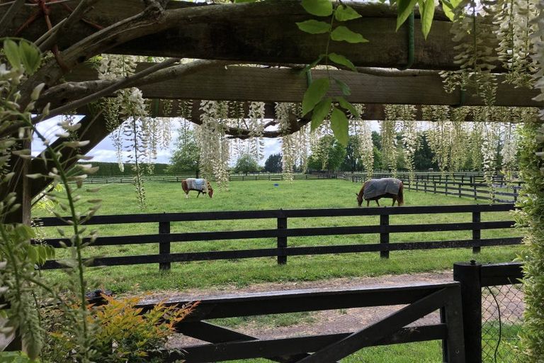 Photo of property in 598 Marychurch Road, Matangi, Hamilton, 3284