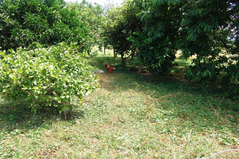 Photo of property in 308 Mill Road, Ohaupo, 3881