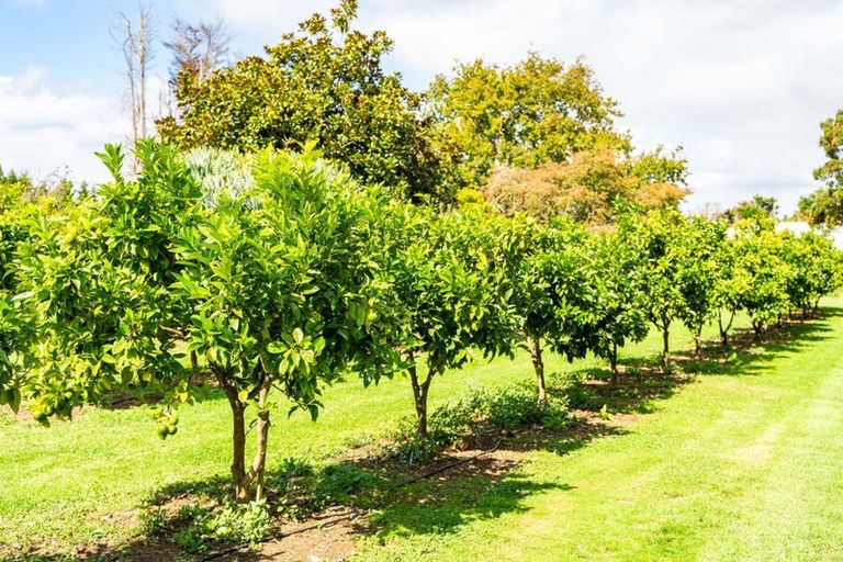 Photo of property in 70 Norris Road, Maungatapere, Whangarei, 0179