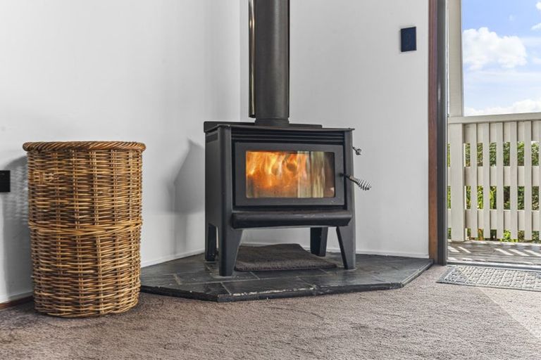 Photo of property in 5 Elizabeth Place, Ferndale, New Plymouth, 4310