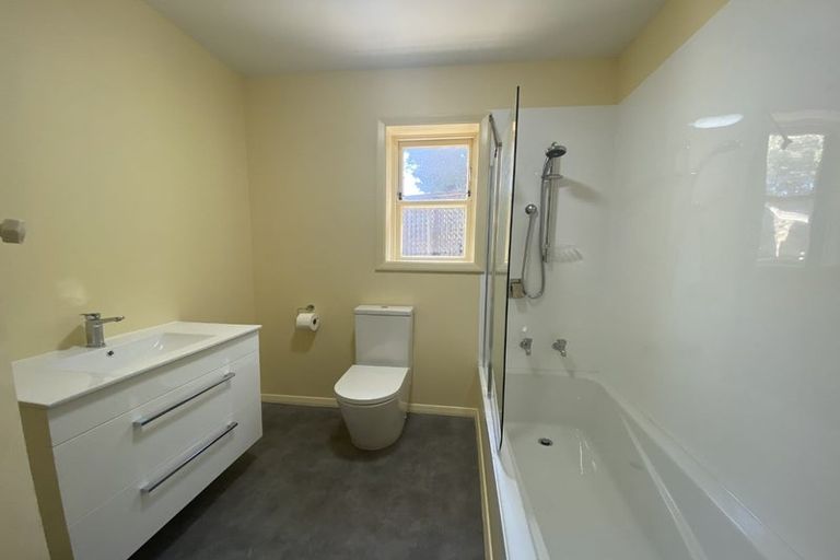 Photo of property in 161 The Ridgeway, Mornington, Wellington, 6021