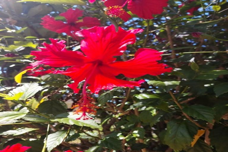 Photo of property in 139 Ota Point Road, Whangaroa, Kaeo, 0478