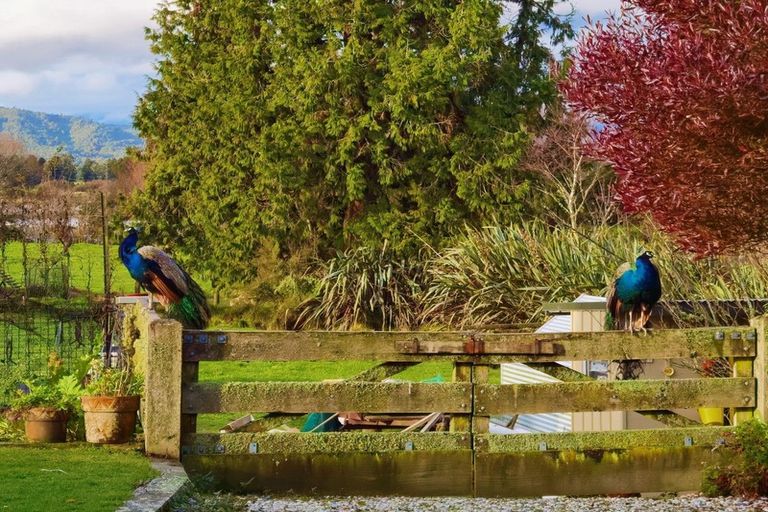 Photo of property in 59 Back Creek Road, Ruatapu, Hokitika, 7883