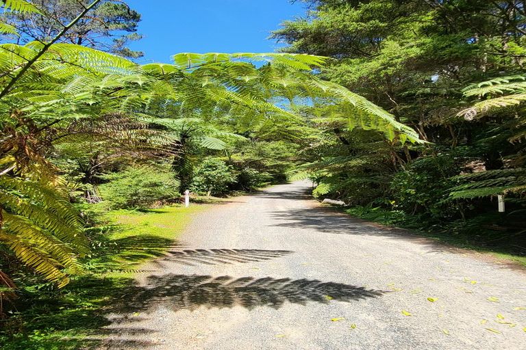 Photo of property in 12 Wilson Avenue, Kawau Island, 0920