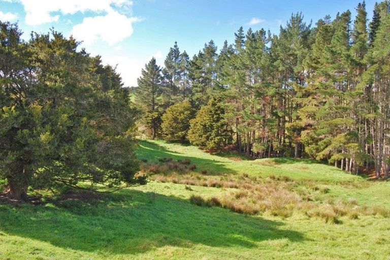 Photo of property in 56 Wattle Lane, Kaiwaka, 0573