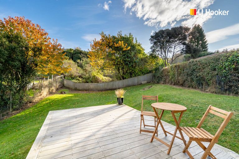 Photo of property in 113 Chapman Street, Wakari, Dunedin, 9010