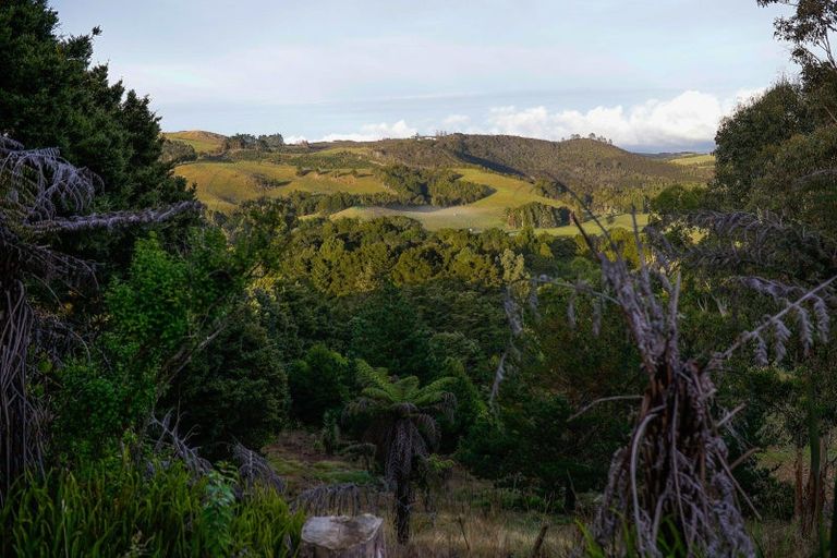 Photo of property in 42 Ngapuhi Road, Waipapa, Kerikeri, 0295