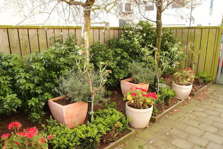 Photo of property in 452j Hagley Avenue, Christchurch Central, Christchurch, 8011