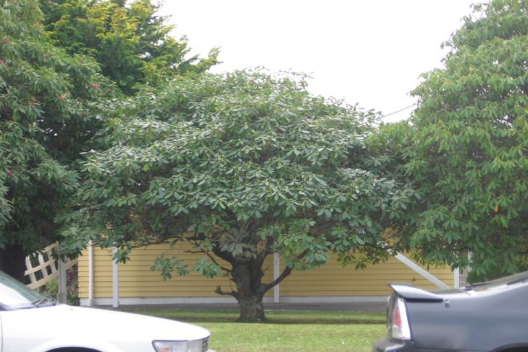 Photo of property in 267 Don Buck Road, Massey, Auckland, 0614