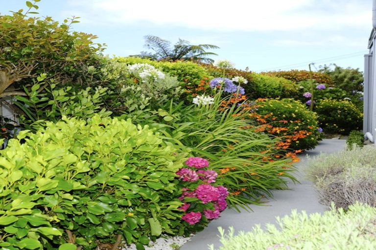 Photo of property in 339c Devon Street West, New Plymouth, 4310