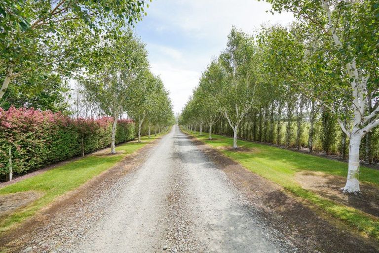 Photo of property in 458 Forest Hill Crossing Road, Tussock Creek, Winton, 9781