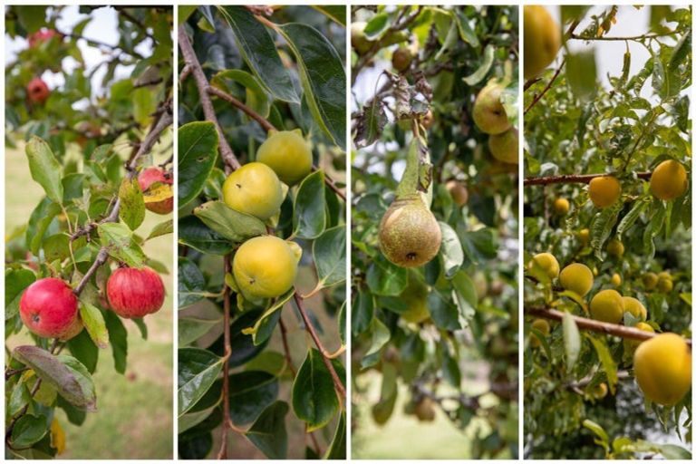 Photo of property in 62 Minden Road, Minden, Tauranga, 3176